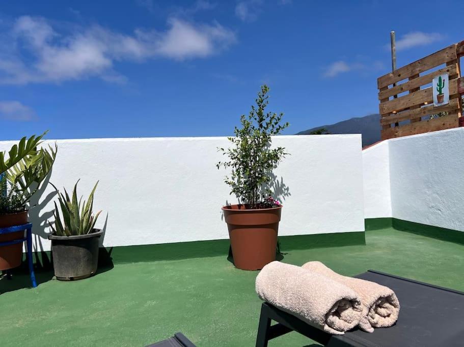 The Zarzamora Canary Little Home Los Realejos Exterior foto